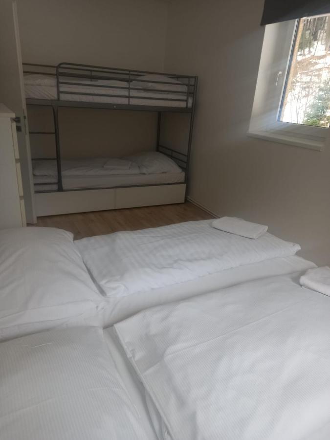 Apartmany Za Sneznikem Dolní Morava Eksteriør billede